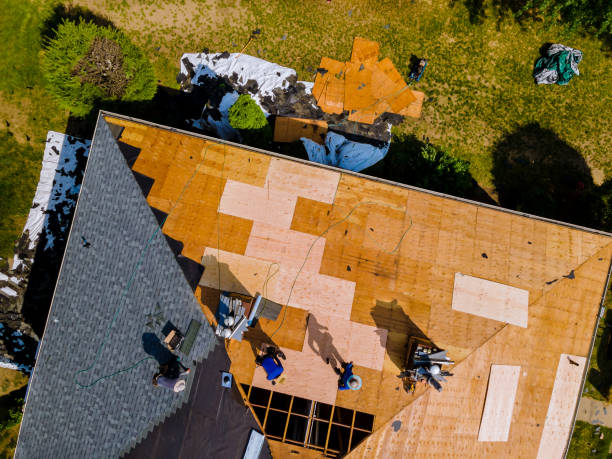 Best Residential Roofing Contractor  in Albany, IN