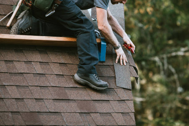 Roof Gutter Cleaning in Albany, IN