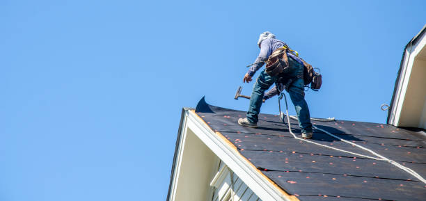 Best Roofing Contractor Near Me  in Albany, IN